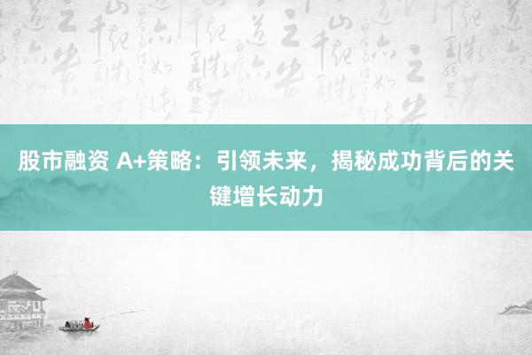 股市融资 A+策略：引领未来，揭秘成功背后的关键增长动力