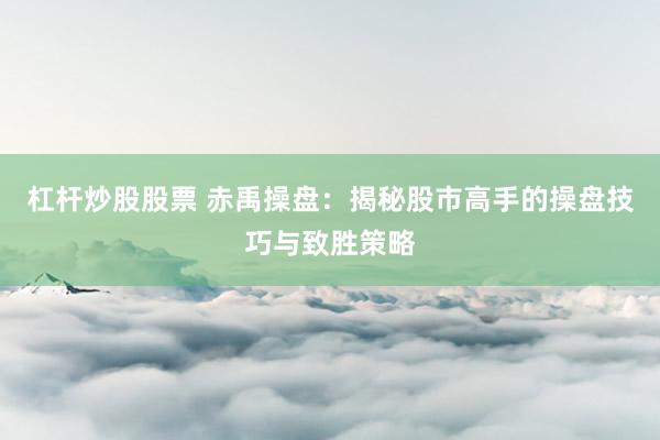杠杆炒股股票 赤禹操盘：揭秘股市高手的操盘技巧与致胜策略