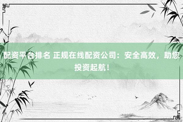 配资平台排名 正规在线配资公司：安全高效，助您投资起航！