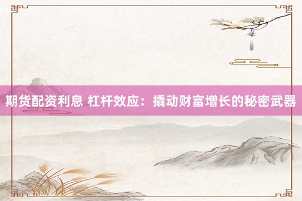 期货配资利息 杠杆效应：撬动财富增长的秘密武器