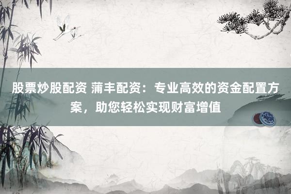 股票炒股配资 蒲丰配资：专业高效的资金配置方案，助您轻松实现财富增值