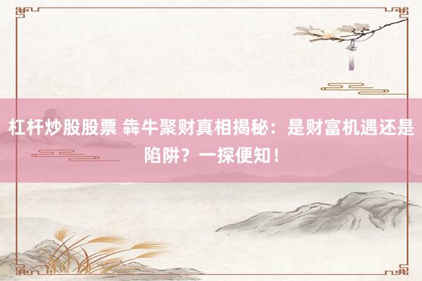 杠杆炒股股票 犇牛聚财真相揭秘：是财富机遇还是陷阱？一探便知！