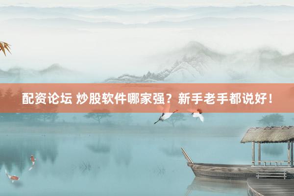 配资论坛 炒股软件哪家强？新手老手都说好！