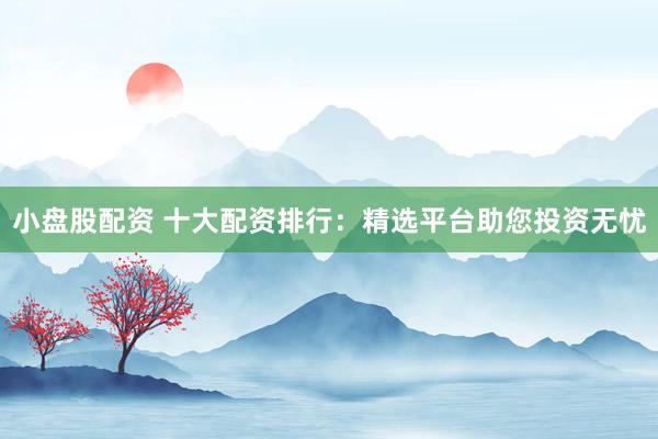 小盘股配资 十大配资排行：精选平台助您投资无忧
