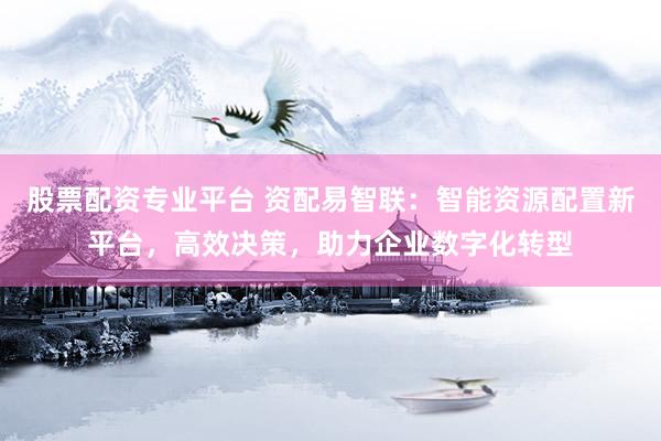 股票配资专业平台 资配易智联：智能资源配置新平台，高效决策，助力企业数字化转型