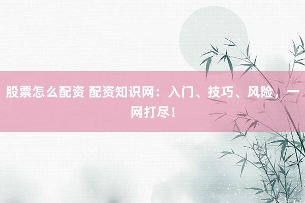 股票怎么配资 配资知识网：入门、技巧、风险，一网打尽！