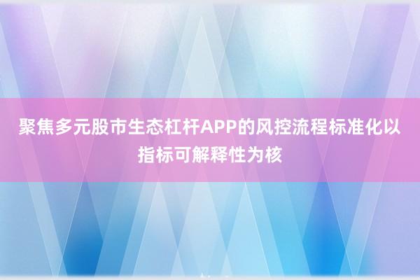 聚焦多元股市生态杠杆APP的风控流程标准化以指标可解释性为核