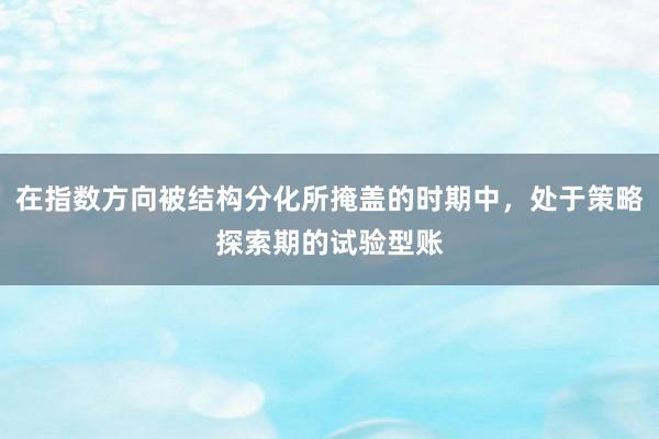 在指数方向被结构分化所掩盖的时期中,处于策略探索期的试验型账