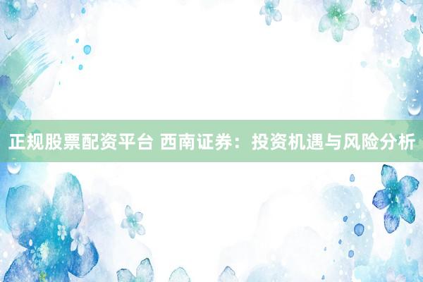 正规股票配资平台 西南证券：投资机遇与风险分析